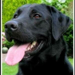 Meet your Posher, Cathy